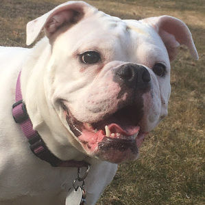 Meet your Posher, Nat